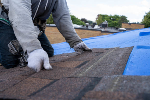 Best Residential Roofing Contractor  in Moline, IL