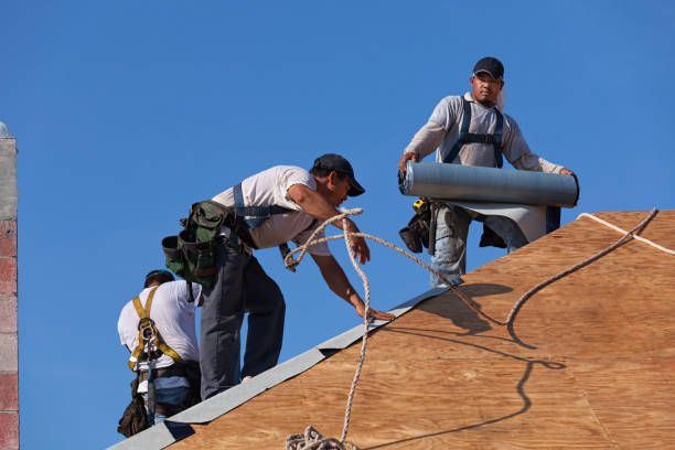 Roof Waterproofing Services in Moline, IL