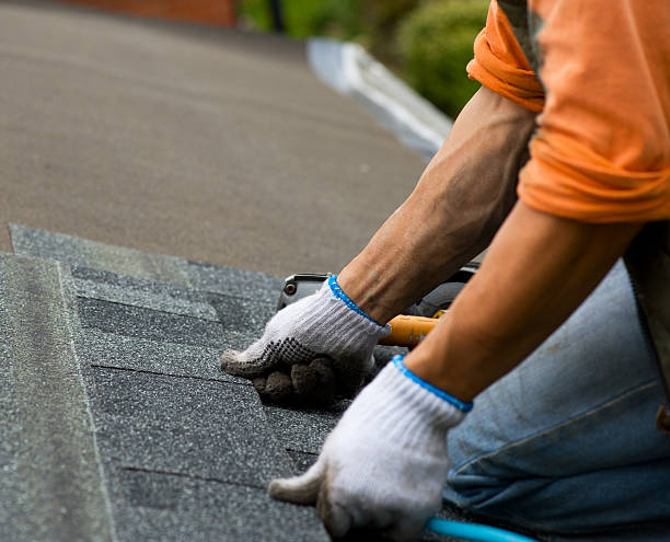 Best New Roof Installation  in Moline, IL
