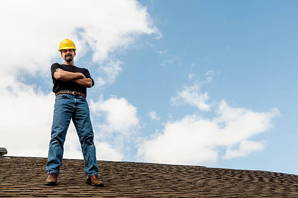 Best Flat Roof Repair Services  in Moline, IL