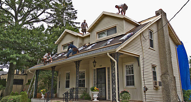 Best Roof Gutter Cleaning  in Moline, IL