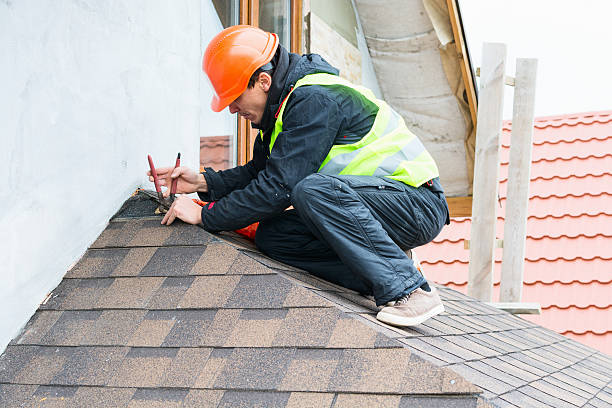 Best Roof Repair Services  in Moline, IL