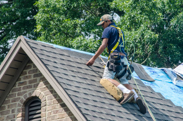 Best Affordable Roofing Company  in Moline, IL